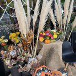 10月31日 ハロウィン！