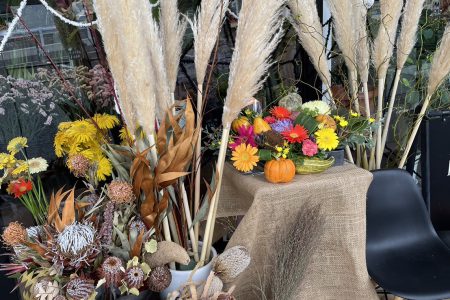 10月31日 ハロウィン！