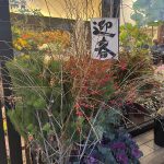 あけましておめでとうございます！